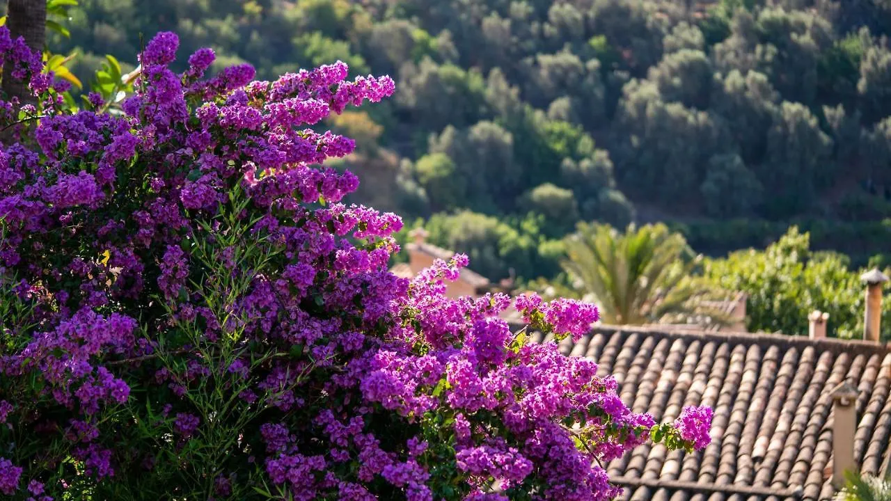Hotel Can Verdera (Adults Only) Fornalutx 4*,